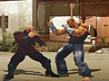 Peli The Perfect Fighter