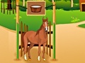 Peli Horse Care Apprenticship