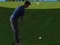 Peli Flash Golf 3D