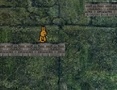 Peli Bunny Adventure