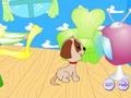 Peli Puppy Star Dog House