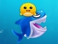 Peli Shark Dash