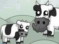 Peli Cowlorful