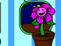Peli My pocket plant 