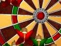 Peli Dart Champion