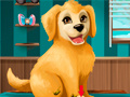 Peli Become a Puppy Groomer