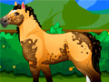 Peli Pony Dress Up