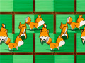 Peli Shiba rescue : dogs and puppies