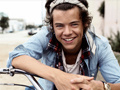 Peli Harry Styles Spot the Difference