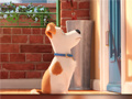 Peli Hidden Letters in The Secret Life of Pets