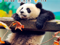 Peli Animal Habitats: Find Items