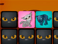 Peli Big Cats: Memo Deluxe