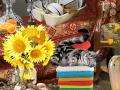 Peli Crazy Cat Lady