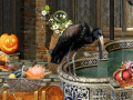 Peli The Witches Curse