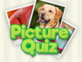 Peli 100 Pics