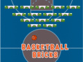 Peli Basketball Bricks