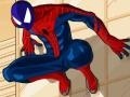 Peli Spiderman Costume