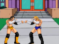 Peli Pro Fighting Combat