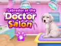 Peli Labrador at the doctor salon    