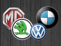 Peli Car Brands Match