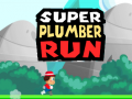 Peli Super Plumber Run