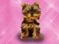 Peli Wash Pets Princess Kids    