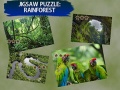 Peli Jigsaw Puzzle Rain Forest 