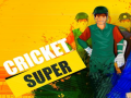 Peli Super Cricket      