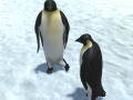 Peli The littlest penguin
