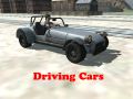 Peli Driving Cars