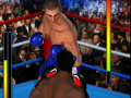 Peli Boxing Club