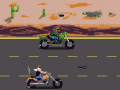 Peli Biker Rage