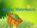 Peli Mortar Watermelon