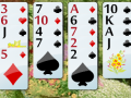 Peli Flower Garden Solitaire