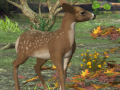 Peli Spot The differences Spring in the Woods