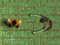 Peli Maze Of Infection