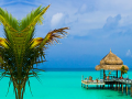 Peli Tropical Paradise