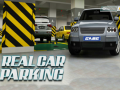 Peli Real Car Parking
