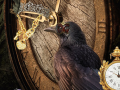Peli Witch Hunt