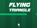 Peli Flying Triangle