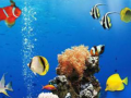 Peli Sea Underwater Difference