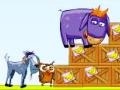Peli Donkey Sean