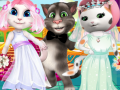 Peli White Kittens Bride Contest
