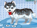 Peli My Cute Dog Bathing