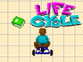Peli Life Cycle