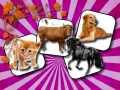 Peli Domestic Animal Memory Challenge