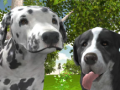 Peli Dog Simulator 3d