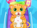 Peli Little Cat Doctor