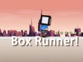 Peli Box Runner