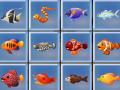 Peli Find The Fish
